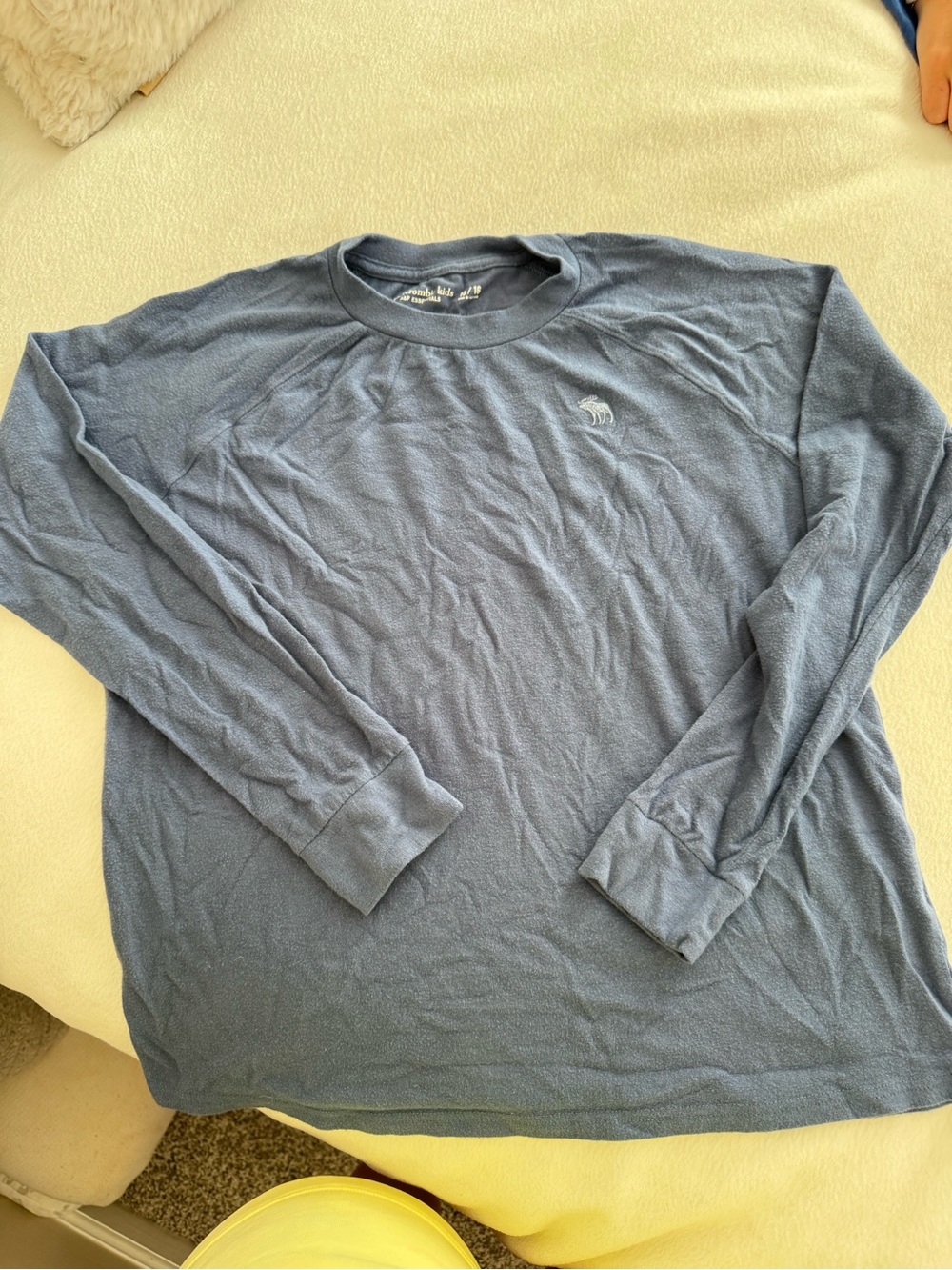 ABERCROMBIE KIDS Long-Sleeve Crewneck Tee in Dusty Blue
